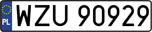 WZU90929