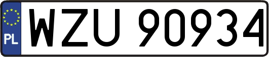 WZU90934