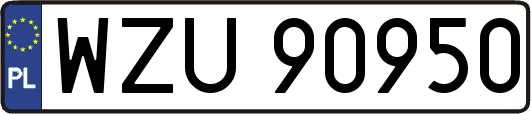 WZU90950