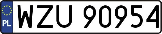 WZU90954