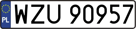 WZU90957