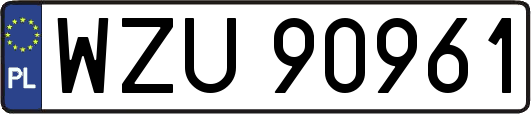 WZU90961