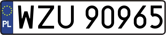 WZU90965