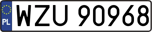 WZU90968
