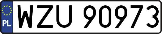 WZU90973