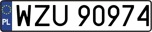 WZU90974