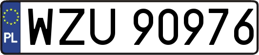 WZU90976