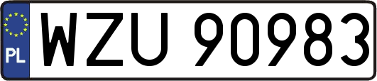 WZU90983