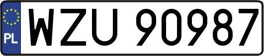 WZU90987