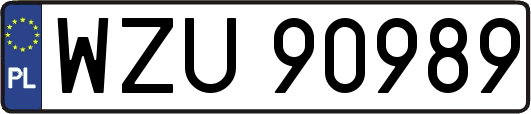 WZU90989
