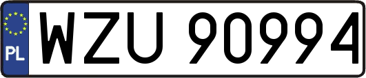 WZU90994