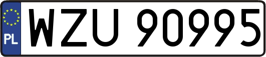 WZU90995