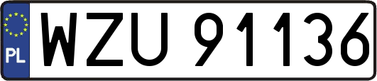 WZU91136