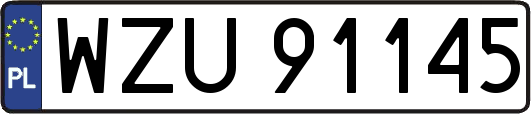 WZU91145