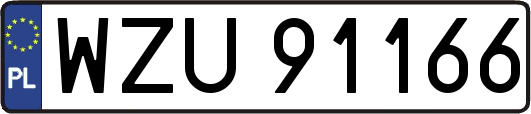 WZU91166