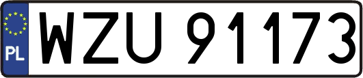 WZU91173