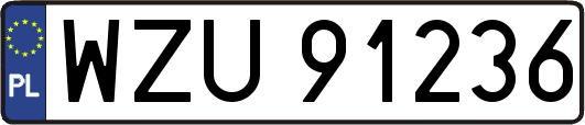 WZU91236