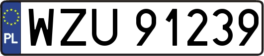 WZU91239