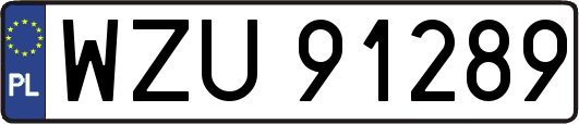 WZU91289