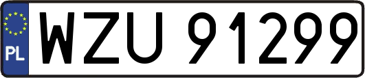 WZU91299