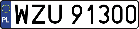 WZU91300