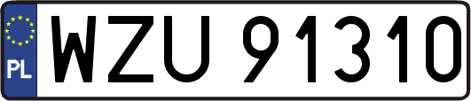 WZU91310