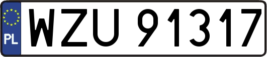 WZU91317