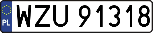 WZU91318