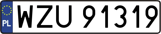 WZU91319