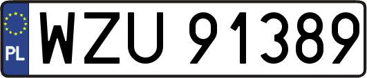 WZU91389