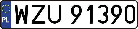 WZU91390