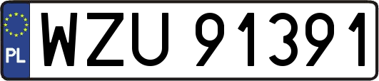 WZU91391