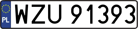WZU91393