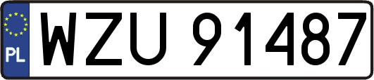 WZU91487