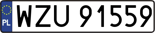 WZU91559
