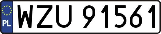 WZU91561