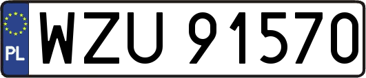 WZU91570
