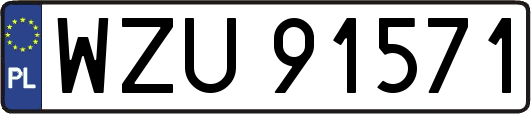 WZU91571