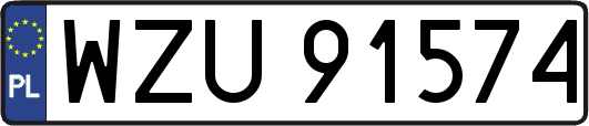 WZU91574