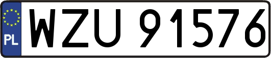 WZU91576