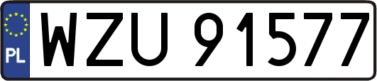 WZU91577