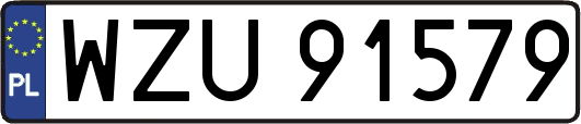WZU91579