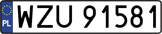 WZU91581