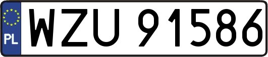 WZU91586