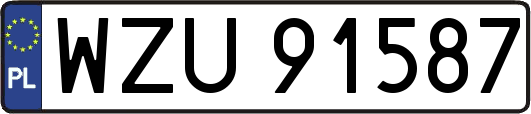 WZU91587