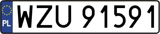 WZU91591