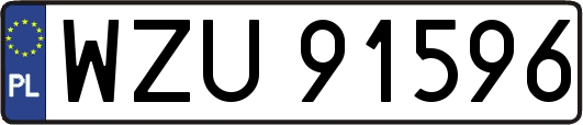 WZU91596
