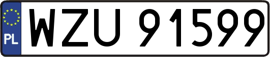 WZU91599