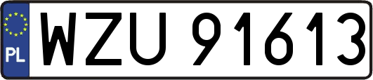 WZU91613