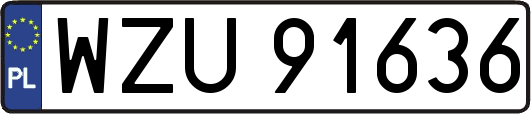 WZU91636